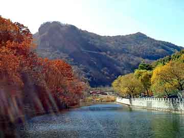 天天彩好彩天天免费，柴油价格吨